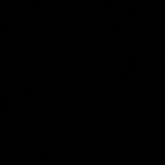 Meet your Posher, Raven - Picture 1 of 1